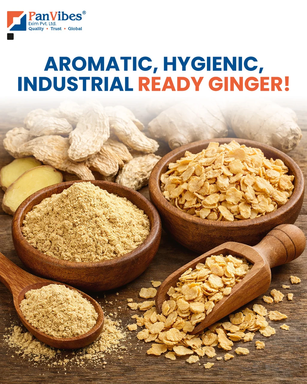 Dehydrated Ginger Powder Supplier in Navi Mumbai
