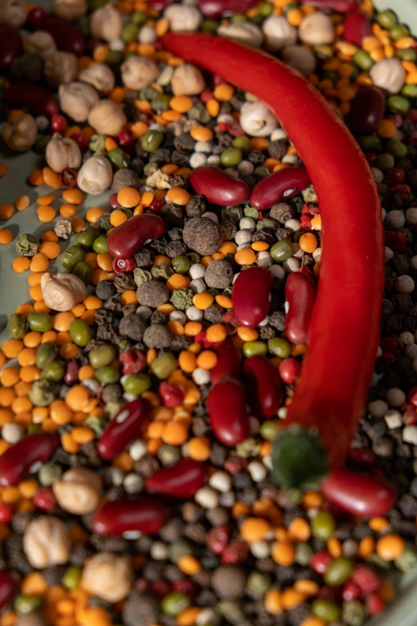 International Spice Exporter